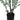 44" Tall, Artificial Plant, Eucalyptus Tree, Indoor, Faux, Fake, Floor, Greenery, Potted, Real Touch, Decorative - Green / Black