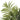 47" Tall, Artificial Plant, Areca Palm Tree, Indoor, Faux, Fake, Floor, Greenery, Potted, Real Touch, Decorative - Green / Black