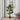 55" Tall, Artificial Plant, Monstera Tree, Indoor, Faux, Fake, Floor, Greenery, Potted, Real Touch, Decorative - Green / Black