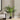 34" Tall, Artificial Plant, Palm Tree, Indoor, Faux, Fake, Floor, Greenery, Potted, Real Touch, Decorative - Green / Black