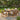 7 Piece Outdoor Patio Dining Set With & 6 Arm Chairs