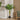 43" Tall, Artificial Plant, Banana Tree, Indoor, Faux, Fake, Floor, Greenery, Potted, Real Touch, Decorative - Green / Black