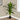 47" Tall, Artificial Plant, Dracaena Tree, Indoor, Faux, Fake, Floor, Greenery, Potted, Real Touch, Decorative - Green / Black