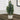 31" Tall, Artificial Plant, Garcinia Tree, Indoor, Faux, Fake, Floor, Greenery, Potted, Real Touch, Decorative - Green / White