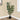 47" Tall, Artificial Plant, Oak Tree, Indoor, Faux, Fake, Floor, Greenery, Potted, Real Touch, Decorative - Green / Black