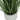 21" Tall, Artificial Plant, Grass, Indoor, Faux, Fake, Table, Greenery, Potted, Real Touch, Decorative - Green / White