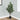 47" Tall, Artificial Plant, Acacia Tree, Indoor, Faux, Fake, Floor, Greenery, Potted, Silk, Decorative - Green / Black