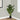 45" Tall, Artificial Plant, Monstera Tree, Indoor, Faux, Fake, Floor, Greenery, Potted, Real Touch, Decorative - Green / Black