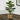 28" Tall, Artificial Plant, Fiddle Tree, Indoor, Faux, Fake, Floor, Greenery, Potted, Real Touch, Decorative - Green / Beige