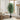 58" Tall, Artificial Plant, Ficus Tree, Indoor, Faux, Fake, Floor, Greenery, Potted, Decorative - Green / Black