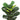 28" Tall, Artificial Plant, Fiddle Tree, Indoor, Faux, Fake, Floor, Greenery, Potted, Real Touch, Decorative - Green / Beige