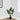 37" Tall, Artificial Plant, Aureum Tree, Indoor, Faux, Fake, Floor, Greenery, Potted, Real Touch, Decorative - Green / Black