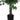 58" Tall, Artificial Plant, Ficus Tree, Indoor, Faux, Fake, Floor, Greenery, Potted, Decorative - Green / Black