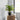 17" Tall, Artificial Plant, Dracaena, Indoor, Faux, Fake, Table, Greenery, Potted, Real Touch, Decorative - Green / Black