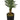 47" Tall, Artificial Plant, Palm Tree, Indoor, Faux, Fake, Floor, Greenery, Potted, Real Touch, Decorative - Green / Black