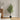 47" Tall, Artificial Plant, Acacia Tree, Indoor, Faux, Fake, Floor, Greenery, Potted, Silk, Decorative - Green / Black