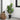 28" Tall, Artificial Plant, Garcinia Tree, Indoor, Faux, Fake, Floor, Greenery, Potted, Real Touch, Decorative - Green / Black