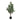 47" Tall, Artificial Plant, Acacia Tree, Indoor, Faux, Fake, Floor, Greenery, Potted, Silk, Decorative - Green / Black