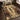 Tribes - 5'3" X 7'3" Southwest Area Rug - Multi