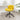 Eldon Diamond Tufted Adjustable Swivel Office Chair- Yellow