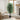 58" Tall, Artificial Plant, Ficus Tree, Indoor, Faux, Fake, Floor, Greenery, Potted, Decorative - Green / Black
