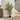 57" Tall, Artificial Plant, Palm Tree, Indoor, Faux, Fake, Floor, Greenery, Potted, Real Touch, Decorative - Green / Black