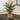 24" Tall, Artificial Plant, Palm, Indoor, Faux, Fake, Table, Floor, Greenery, Potted, Real Touch, Decorative - Green / Beige