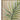 Burlap Palm Frond Framed Print (Set of 2) - Light Brown / Green