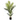 57" Tall, Artificial Plant, Palm Tree, Indoor, Faux, Fake, Floor, Greenery, Potted, Real Touch, Decorative - Green / Black