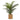 24" Tall, Artificial Plant, Palm, Indoor, Faux, Fake, Table, Floor, Greenery, Potted, Real Touch, Decorative - Green / Beige