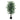 58" Tall, Artificial Plant, Ficus Tree, Indoor, Faux, Fake, Floor, Greenery, Potted, Decorative - Green / Black