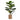 28" Tall, Artificial Plant, Fiddle Tree, Indoor, Faux, Fake, Floor, Greenery, Potted, Real Touch, Decorative - Green / Beige