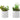 7" Tall, Artificial Plant, Succulent, Indoor, Faux, Fake, Table, Greenery, Potted, Decorative (Set of 2) - Green / White