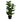 32" Tall, Artificial Plant, Fiddle Tree, Indoor, Faux, Fake, Floor, Greenery, Potted, Real Touch, Decorative - Green / Black