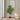 47" Tall, Artificial Plant, Fiddle Tree, Indoor, Faux, Fake, Floor, Greenery, Potted, Real Touch, Decorative - Green / Black